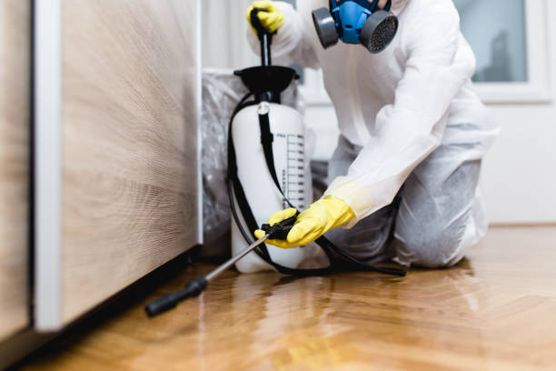 Best Flea Control Services  in Golden Gate, FL