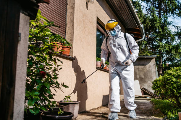 Best Ant Control Services  in Golden Gate, FL