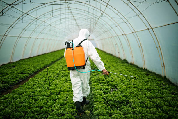 Best Pest Prevention Services  in Golden Gate, FL