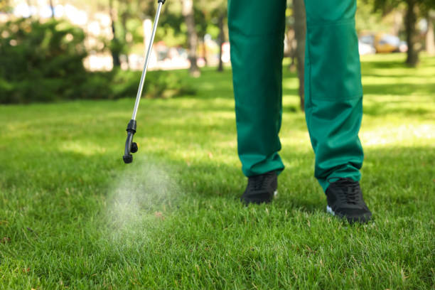 Best Exterminator Services  in Golden Gate, FL
