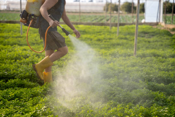 Best Pest Removal Services  in Golden Gate, FL