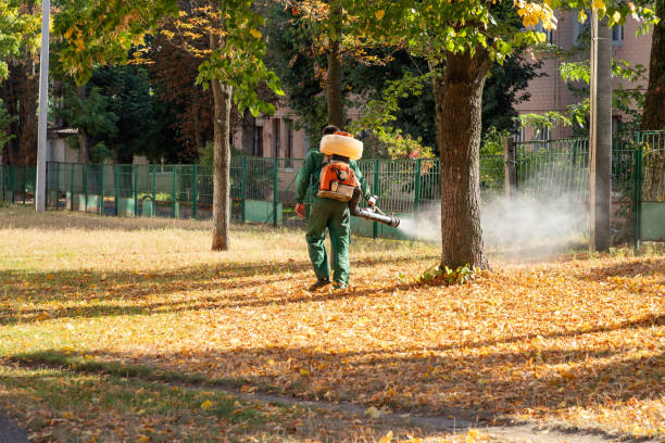Best Commercial Pest Control Services  in Golden Gate, FL