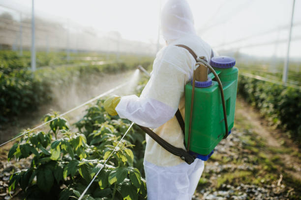 Best Insect Control  in Golden Gate, FL